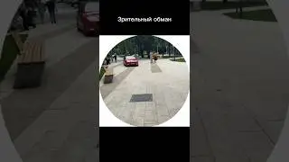Толи рыба, толи рак