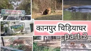 kanpur zoo vlog।।YouTube पे घर बैठे देखिए कानपुर का चिड़ियाघर..🐅🦓🐴🐍🐖🦌🐆🦦🦇🦍🦧।। कानपुर चिड़ियाघर part-2