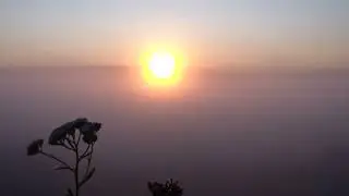 РА свет в тумане, июль 24 г , р  Зуша, палаточный городок.