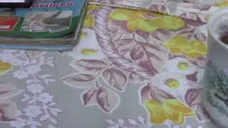 осмотр  пчелиной  семьи