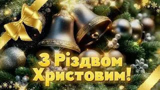 З Різдвом Христовим!❄️✨Вітаю З Різдвом Христовим! Миру,щастя,добра!