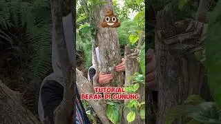 Tutorial on CHAPTER IN THE MOUNTAIN 