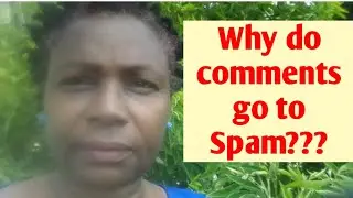 Why do Comments go to Spam I How To Approve Genuine Comments I How to Block Spam Comments