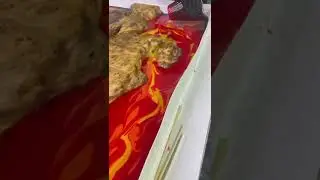 #топ