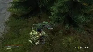 Error of dayz