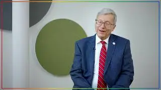 What is the YNP Mentorship Programme?
