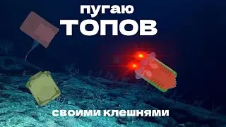 РАК ПУГАЕТ БЕГЕМОТОВ И ЧЕРЕПАХ? I Deeeep.io монтажик