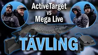 DSH & Motor Marin - ActiveTarget Vs Mega Live