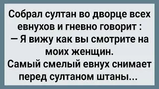 Как Евнухи На Женщин Султана Смотрели! Сборник Свежих Анекдотов! Юмор!