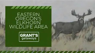 Artist captures breathtaking wildlife scenes in Eastern Oregon