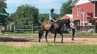 Improving the Rider's Seat, the Horse's Bend and TopLine.