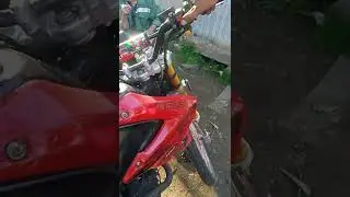 Bars 250