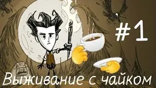Dont starve с чайком(#1)
