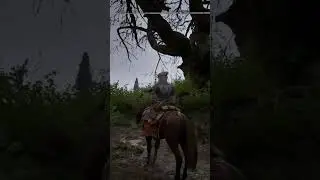 Дерево висельников в Смуте