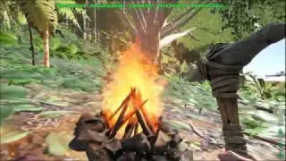 Ark Survival Evolved - С чего начать?