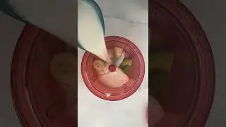 Avocado Smoothie