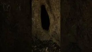 horror place and snack |shorts |snack |video