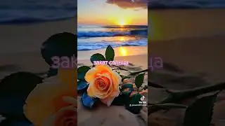🌻❤️вечерний закат солнца❤️🌻