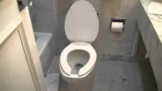 Perpetually Flushing Toilet
