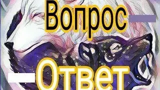 Вопрос-Ответ❤️