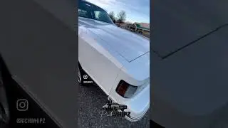 #gbody