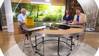 Trisskraparen om reaktionen efter vinsten: ”Vet inte om jag vill sä… | Nyhetsmorgon | TV4 & TV4 Play