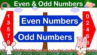 Even & Odd Numbers | Learning Even And Odd Numbers | Even , Odd Number Maths Concept for Kids