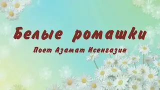 Белые ромашки. Поёт   Азамат Исенгазин