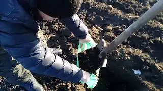 Забор проб почвы на био химический анализ