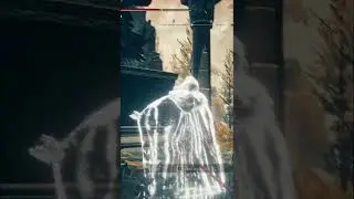Which of you was this? #eldenring #eldenringgameplay