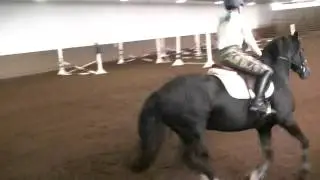 Natty Gann Jumping September 10, 2015