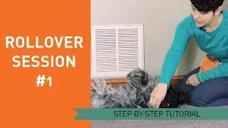 How to Train Your Dog to Roll Over - Session 1