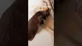 любящая мамочка🥰😍💕