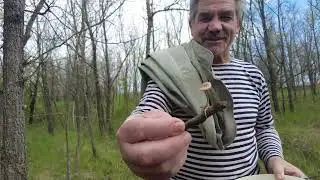 ДИВНІ ЗНАХІДКИ У ЛІСІ - АЙВА НА КОМПОТ, СМОРЖІ, ОПЕНЬКИ...