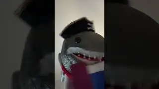 We’re still here. Now here’s Shark Pirate. #puppetry #pirates #sharks #puppet #puppets #puppeteer