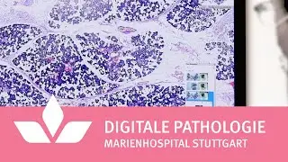 Digitale Pathologie im Marienhospital Stuttgart
