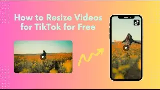 Quick and Easy Way to Resize Videos for TikTok for Free