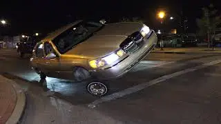 LOWRIDER CRUISE NIGHT BIGDAWG CUT
