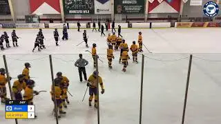 Blues vs  LA Jr Kings