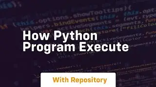 how python program execute