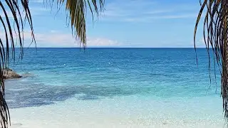 Secluded Serenity || Anda Bohol #beach