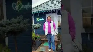 Приглашение на Конгресс от Елены Буданцевой