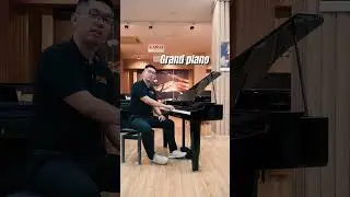 Giới thiệu đàn Piano có thiết kế độc đáo