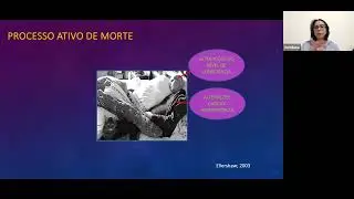 10/06 | Reunião Científica Cuidados Paliativos