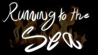Running to the sea - Don't Starve