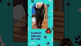 Pet of the Month - July 2024