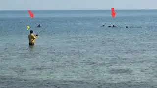 PENAMPAKAN PENGHUNI PULAU TUNDA