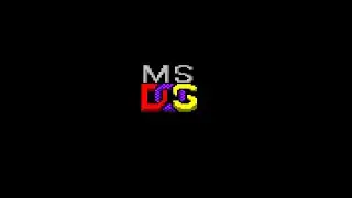MS DOS