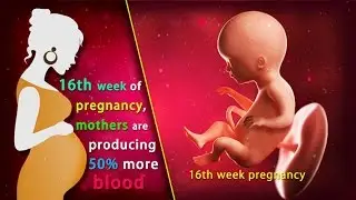 16 Weeks Pregnant: What's Happening in 16th Week of Pregnancy?