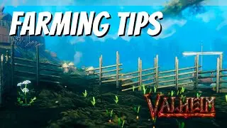 How to Plant Seeds in Valheim - Valheim Farming Guide